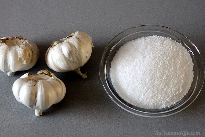 Salt and Garlic: Two Spices with Healing Properties
