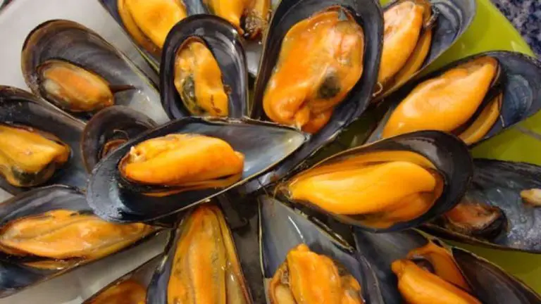 Mussels: Water Pollution Vacuum Cleaners