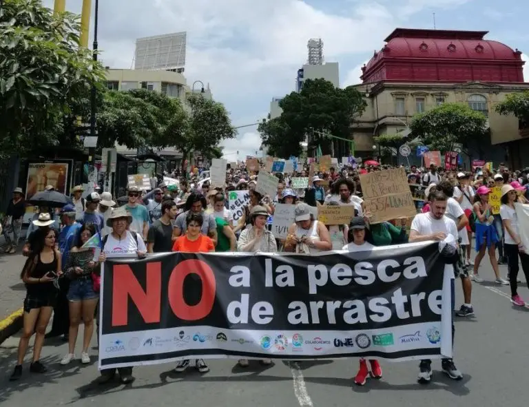 Environmentalists Celebrate Expiration of the Last Trawling License in Costa Rica