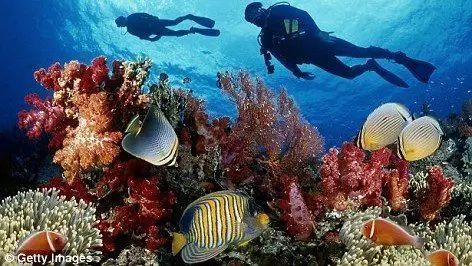Costa Rica’s Coral Reefs: Great Snorkeling Spots