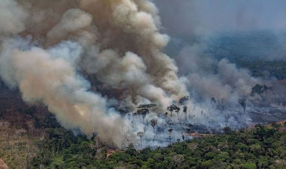 The Amazon Rainforest Is Still On Fire