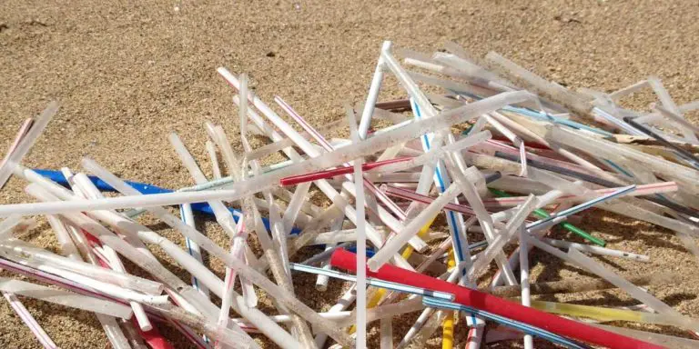 New Talamanca Stores Should Avoid Using Plastic Straws to Obtain the Municipal Patent