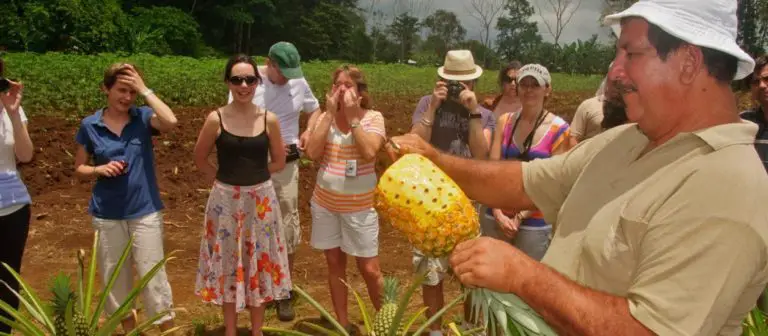 Discover Authentic Costa Rica Through community-managed Rural Tourism