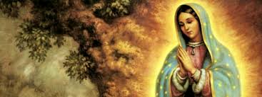 A Deeply Rooted Religious Tradition: the Festivities in Honor of Our Lady of Guadalupe