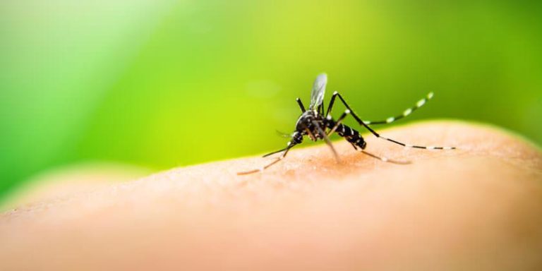 Be Careful With Dengue: Know Its Causes and Prevention