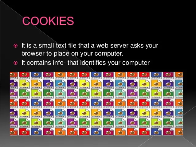 Internet Cookies: Find Out What They Are and What They Do With Your Data