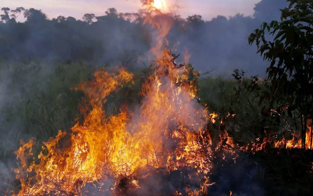 When the Amazon Burns, the Rest of the World Alarms! ⋆ The Costa Rica News