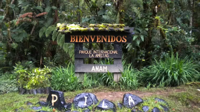 Get to Know More about La Amistad International Park.
