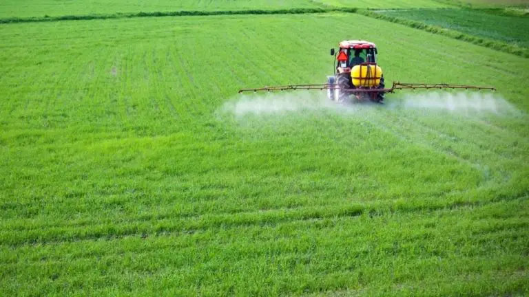 Costa Rica Prohibits Use of Glyphosate in Its Protected Wild Areas