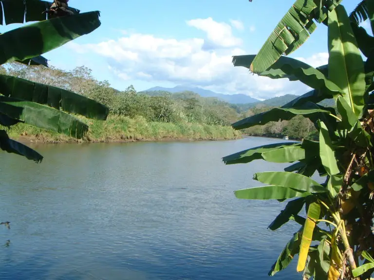 The Imposing Tarcoles River and Its Incredible Wildlife