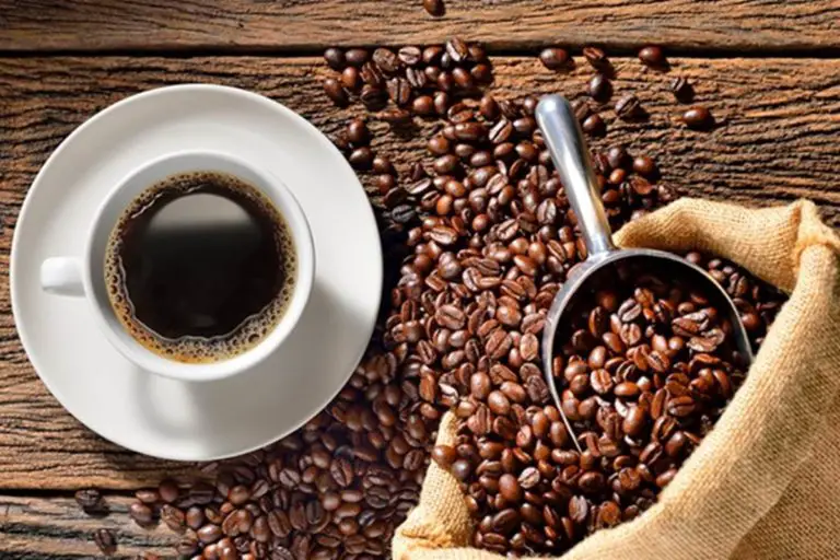 All You Should Know About the Best Drink in the World: Coffee!