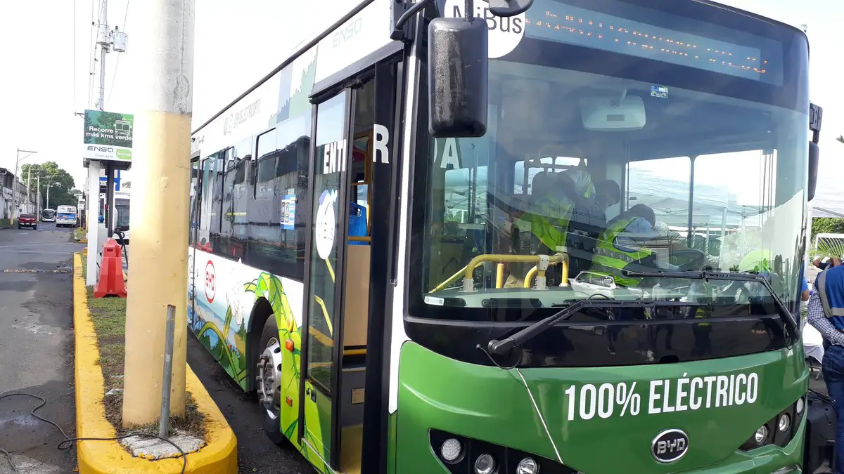 Business Sector Adds Electric Buses to the Public 