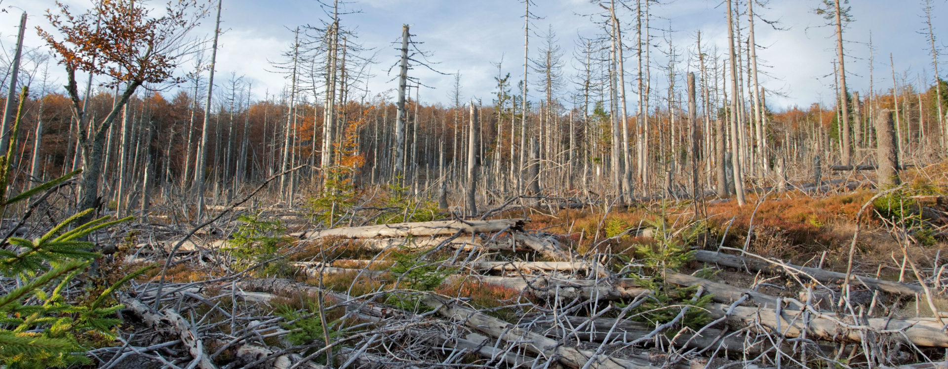 Acid Rain A Serious Threat To The Environment Product Of Pollution