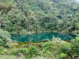 Pozo Verde Lagoon, the Jewel on the Sacred Mountain Of Parque Juan Castro Blanco