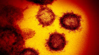Let’s Not Make The Coronavirus a Pandemic of Fear or Despair