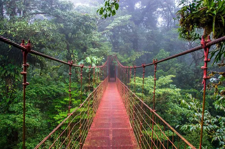 What Do You Know About Monteverde?