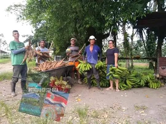 Pococí Farmers Donate Part Of Their Harvest To Tortuguero Residents Affected By The COVID-19 Crisis