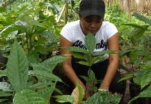 Costa Rican Women With Nature Conservation Projects Will Be Able To Access Credits of up to ₡ 10 Million