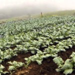 Government Promotes Program for the Modernization of the Agro-productive Sector