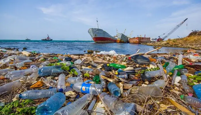 The Plastic Pollution Pandemic