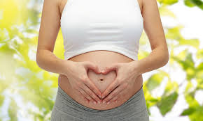 The Ideal Diet for a Healthy Pregnancy