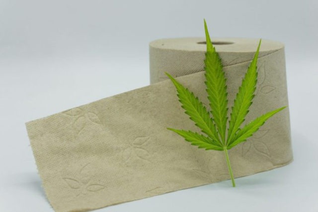 Hemp Toilet Paper