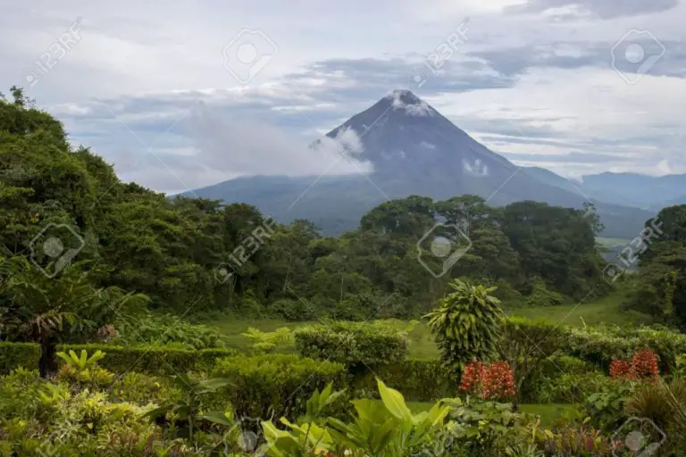 Do You Prefer the Jungle or the Beach?Travel to Costa Rica and Experience Both