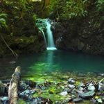 Great Experiences that are so Unique to Costa Rica