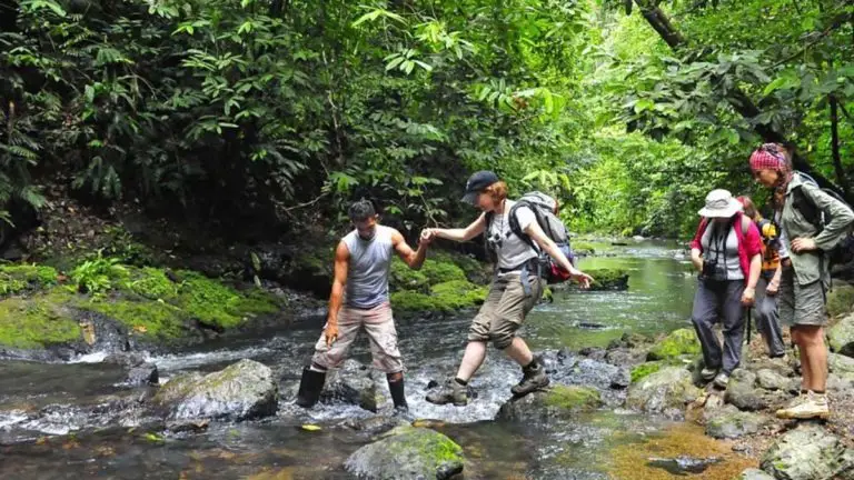 The Costa Rican Tourism Institute Reinforces the “Wellness Pura Vida” Strategy to Position our Country as a Place to “Improve Physical and Mental Health”