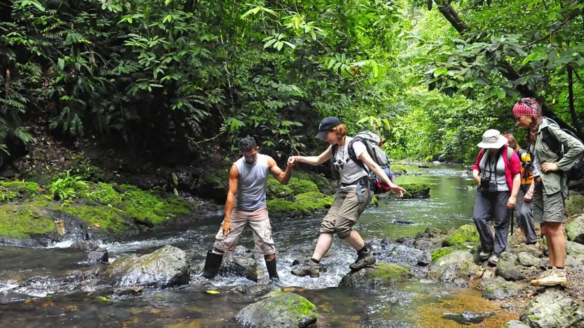 The Costa Rican Tourism Institute Reinforces the Wellness Pura Vida Strategy to Position our Country as a Place to Improve Physical and Mental Health.jpg