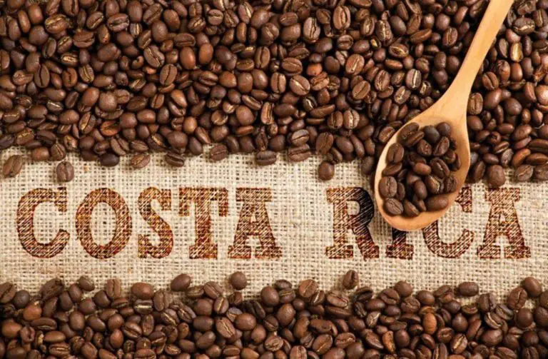 Costa Rica Declares Coffee as a National Symbol