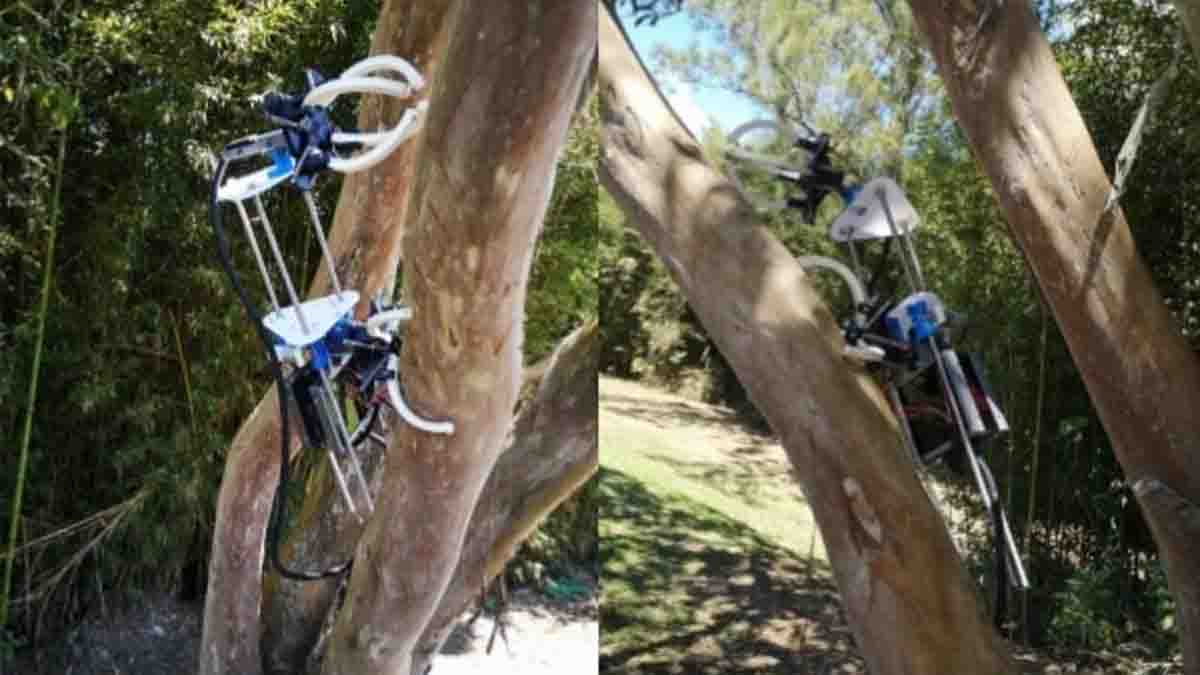 TEC Student Designs and Creates Prototype Tree-climbing Robot