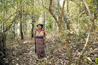 Indigenous Women Reaffirm Their Role as Leaders, Protectors of the Forest, and Entrepreneurs