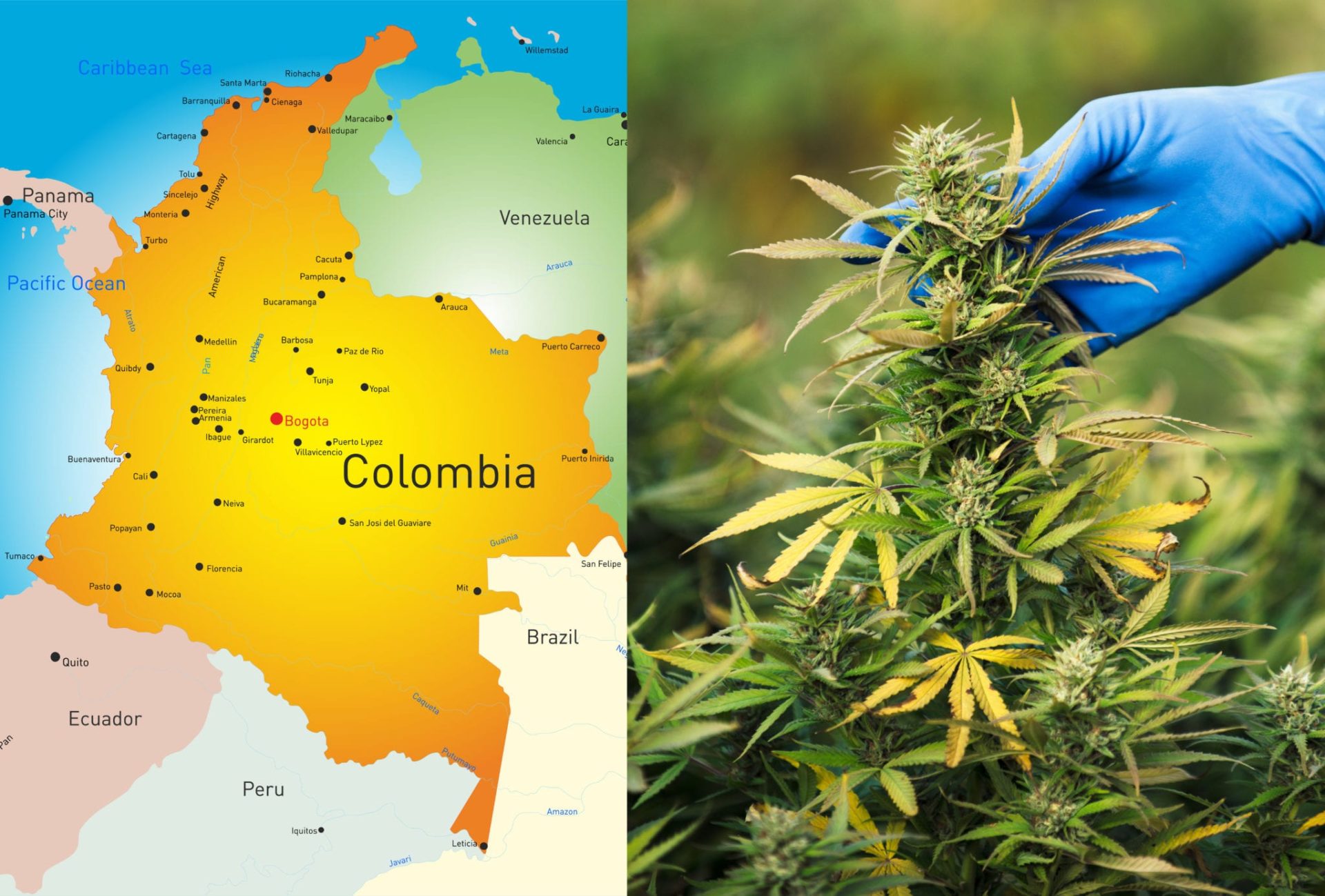 Colombian Congress Approves Law To Legalize Recreational Cannabis