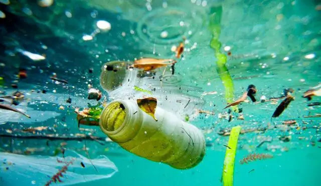 Campaign Seeks To Eradicate the Use of Single-Use Plastic Bottles