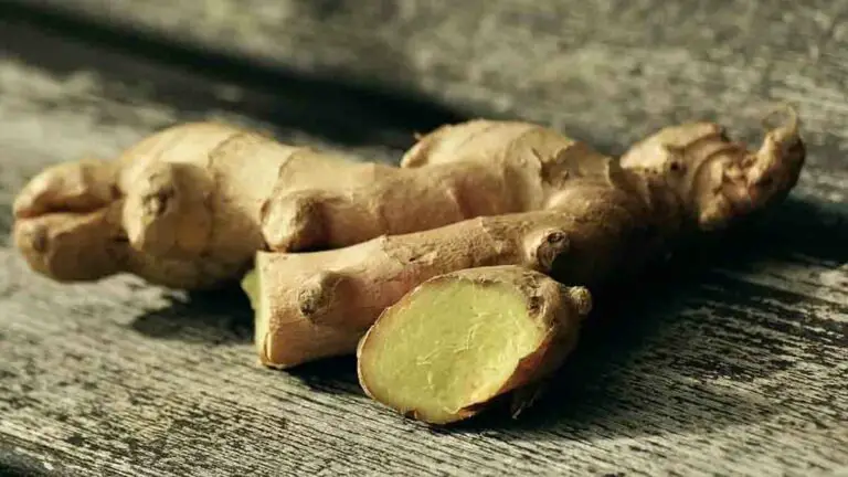 Everything You Need To Know About Ginger