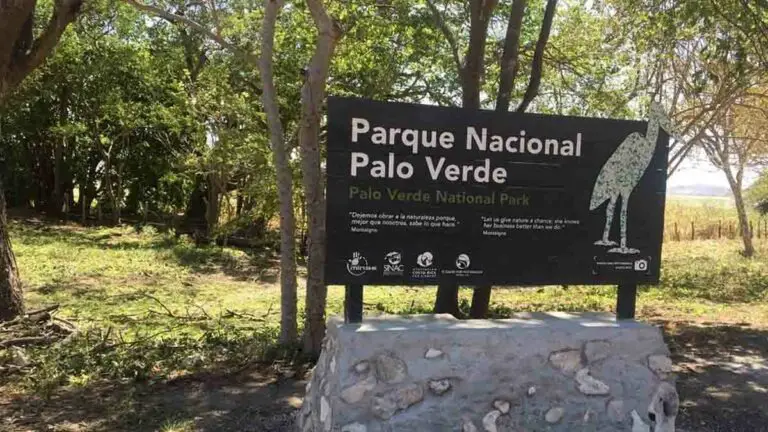 Enhancing our Biological Wealth, Palo Verde National Park