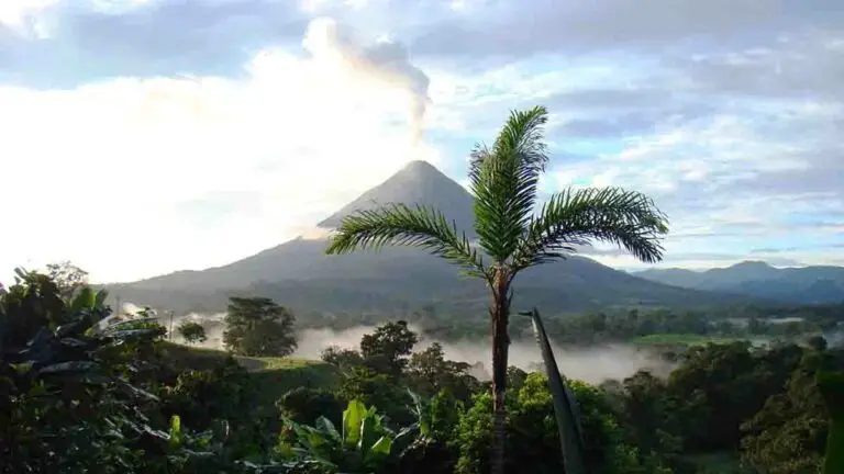 Tourism is reborn from the ashes like the phoenix in a different Costa Rica