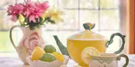 Authentic Nutritional Treasure, Lemon