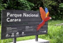 Carara National Park Unique Like the Amazon