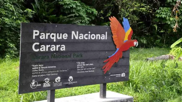 Carara National Park Unique Like the Amazon
