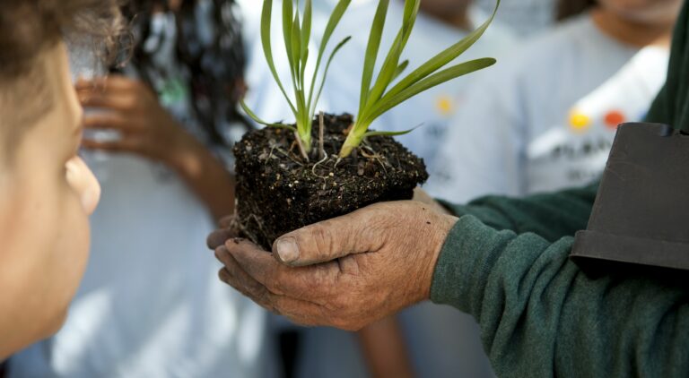 Costa Rica Begins a Fundraising Campaign to Plant 200 thousand Trees