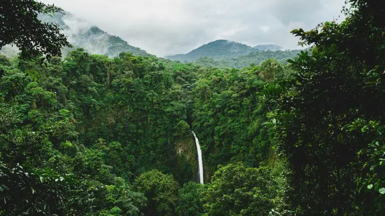 Costa Rica: Tourism, Culture and Green Economy