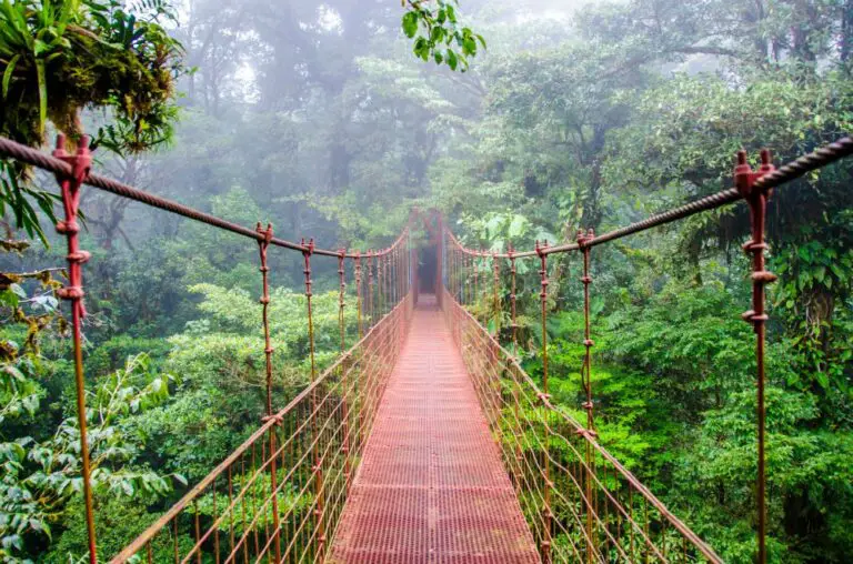 Monteverde Is Highlighted As One of the Most Beautiful Destinations in the World