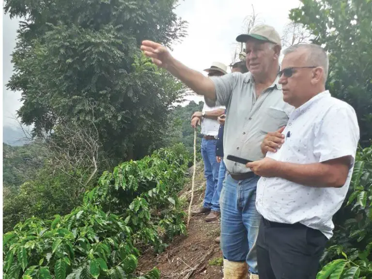 Santa Cruz Made Progress in Reforestation of its Aquifer