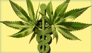Legislative Bill on Hemp and Medicinal Cannabis as an Alternative Proposal to Avoid Imposing New Taxes