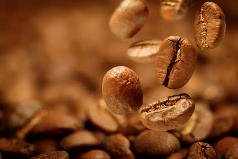 Costa Rica’s Coffee Exports Grow for the Seventh Consecutive Month