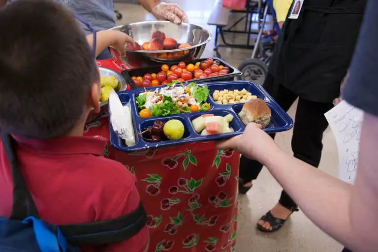 Healthy Snacks at Home and Educational Centers