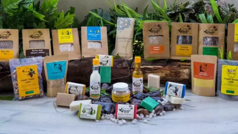 Cocoa Producing Firms will Represent Costa Rica at an Important International Competition