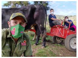 The First “Strawberry” Tour in Costa Rica is at Poasito de Alajuela
